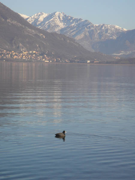 Laghi....della LOMBARDIA